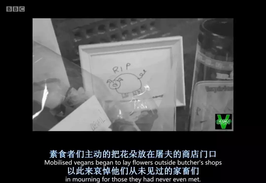 人类未来都不用吃肉吗,素食主义会取代肉食吗