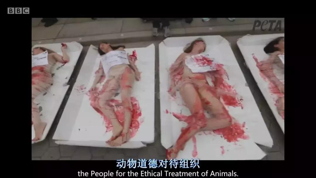 人类未来都不用吃肉吗,素食主义会取代肉食吗