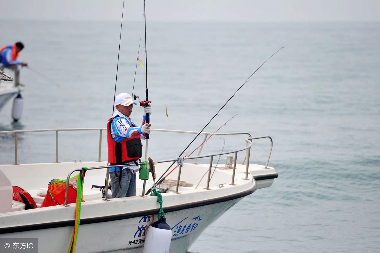 鳕鱼拿什么钓,鳕鱼从哪钓