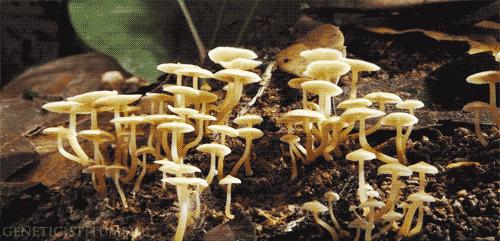 你会说不会写的甘谷方言,甘谷方言土语大全