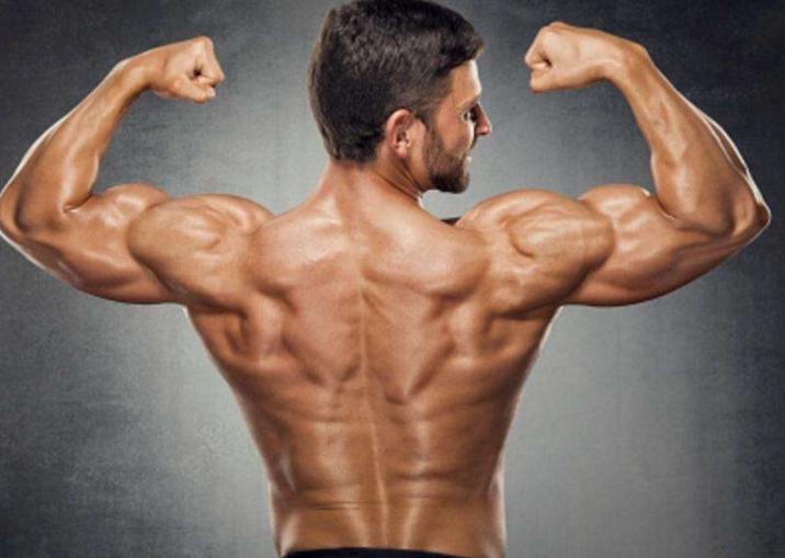 练背怎么练成倒三角,瘦子怎么练倒三角