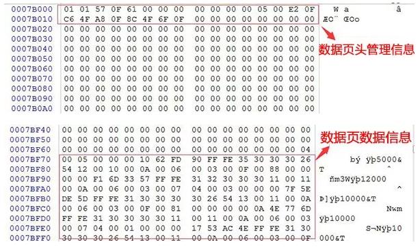 access数据库入门教程全套20集,效哥电商干货