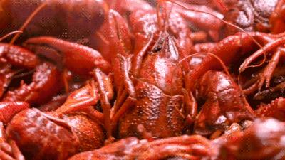 2018年世界杯中国小龙虾,中国小龙虾世界杯