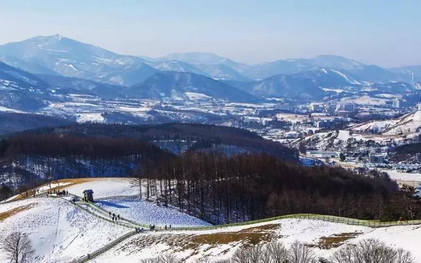 韩国世界杯不觉得耻辱吗,韩国这次世界杯赢的概率大吗