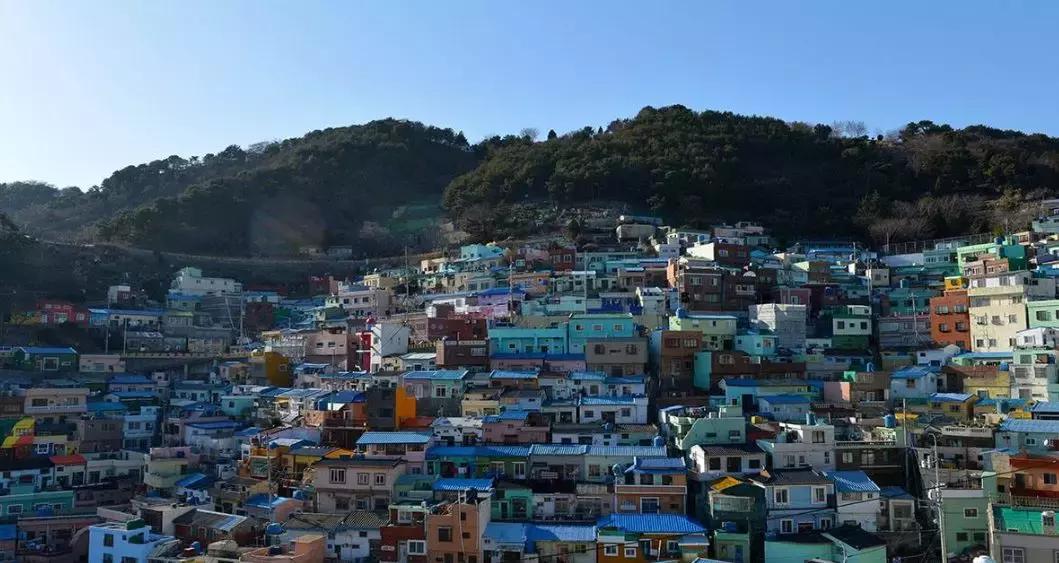 韩国世界杯不觉得耻辱吗,韩国这次世界杯赢的概率大吗