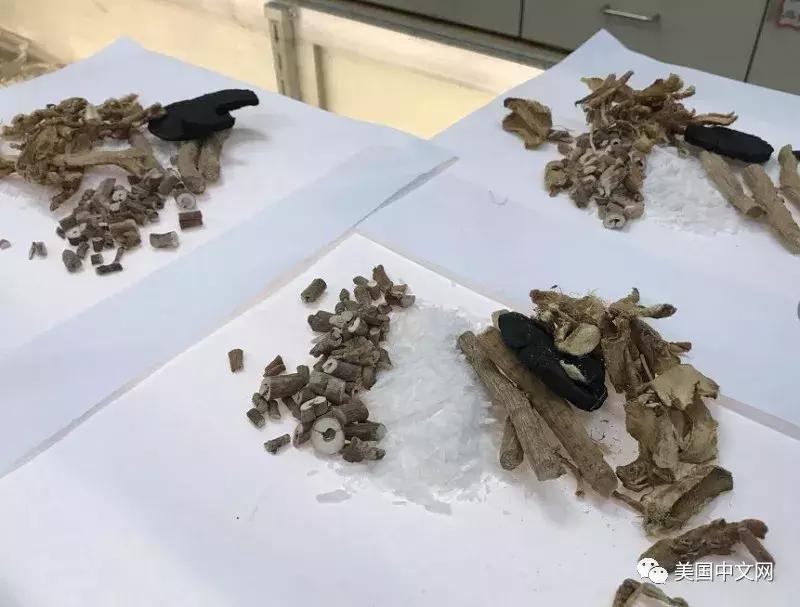 香港流行风湿药在美却是*禁品违**？华埠中药行遭起诉老板很委屈！