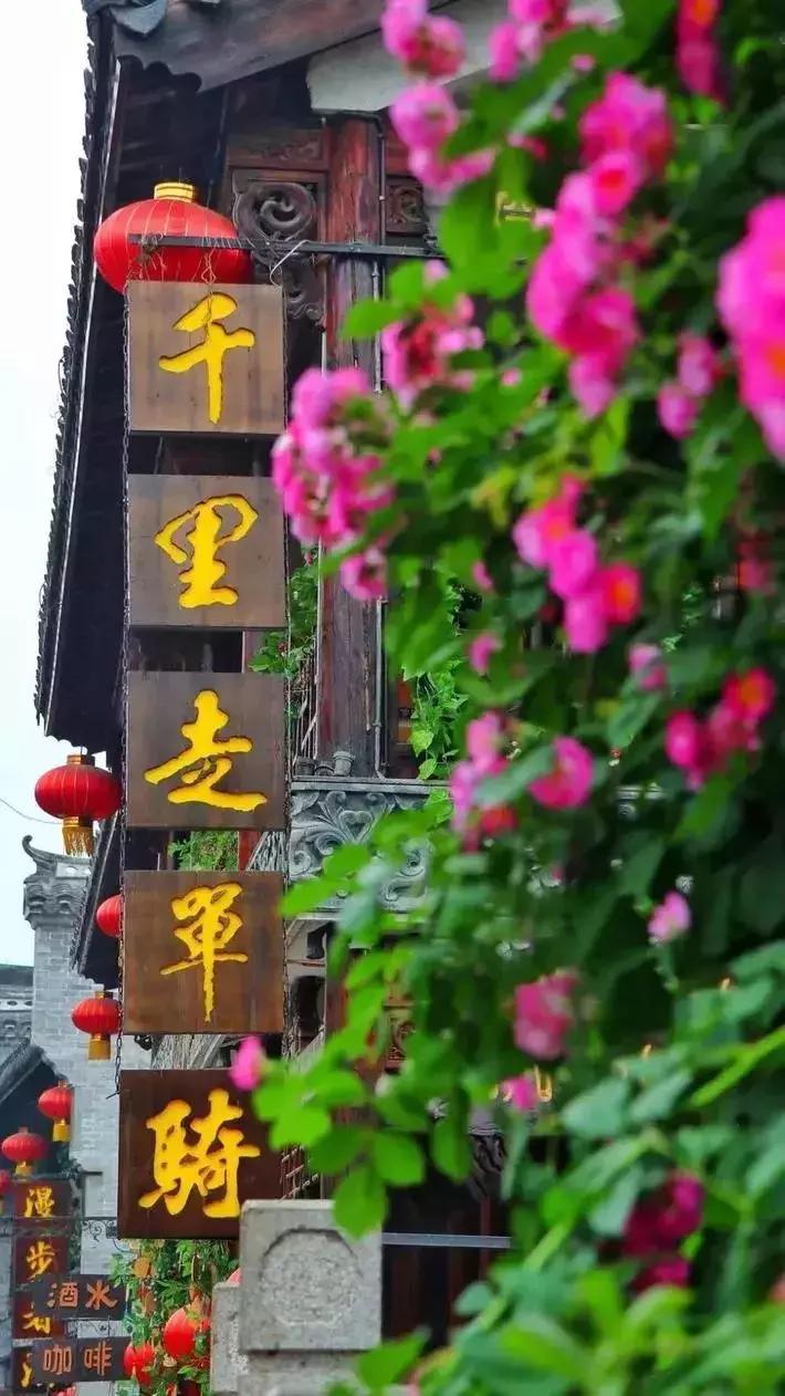 台儿庄古城最新免票政策,台儿庄古城对临沂人免门票吗