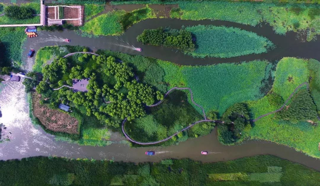 台儿庄古城最新免票政策,台儿庄古城对临沂人免门票吗