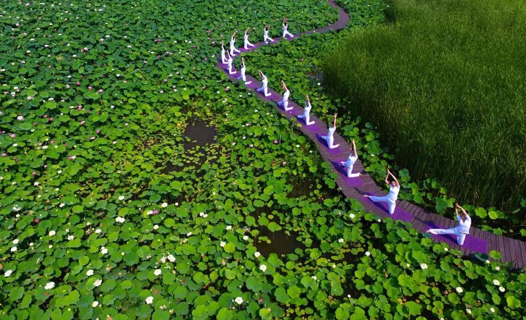 台儿庄古城最新免票政策,台儿庄古城对临沂人免门票吗