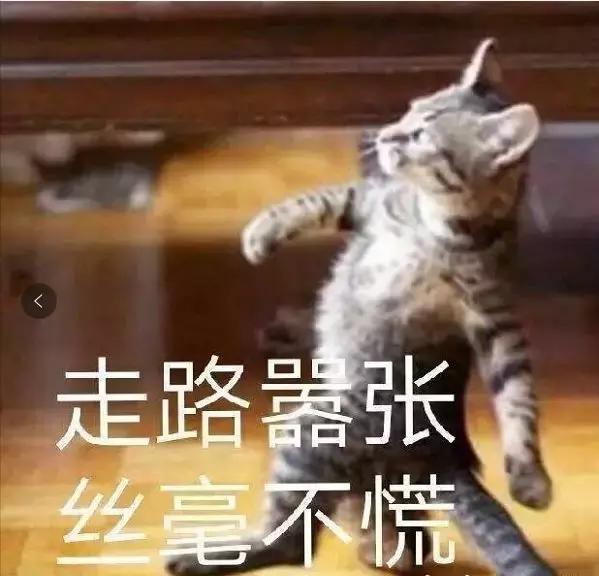 现在最火的国内女装品牌有哪些,国内最火的十大品牌女装