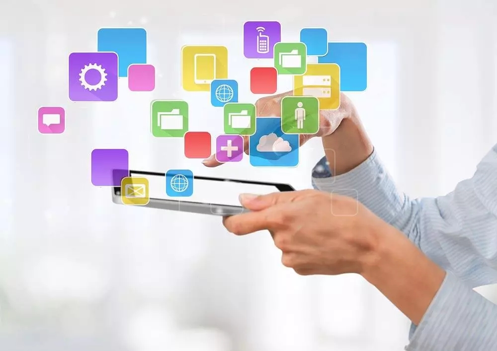 警惕热潮下的“郁金香”：谈教育投资的快与慢