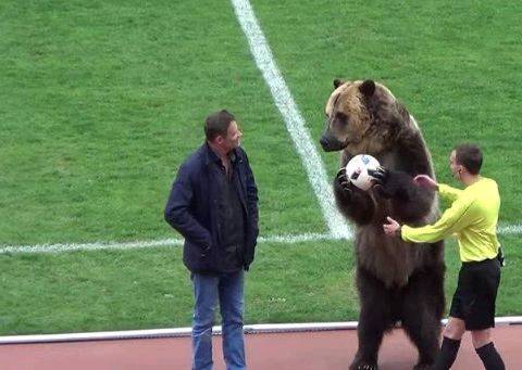 足球流氓闹事,足球流氓俄罗斯