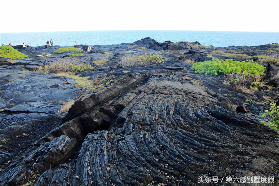 夏威夷自由行详细攻略,夏威夷自由行旅游攻略