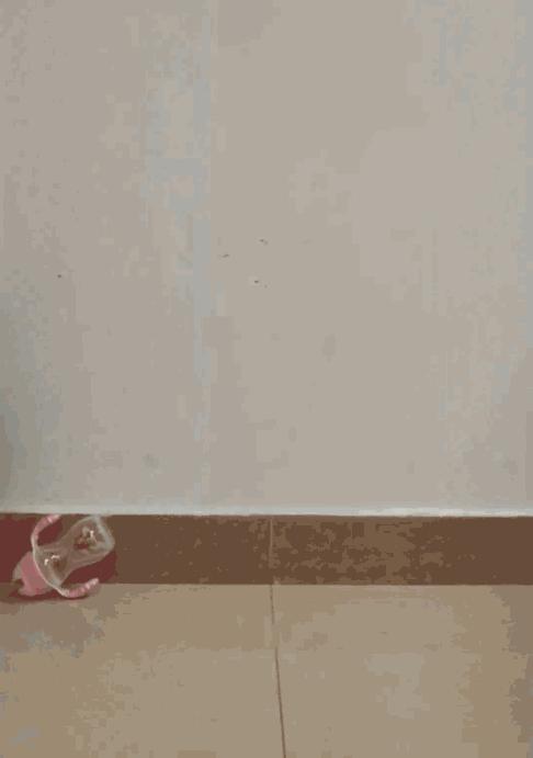 好用的儿童吸管杯测评,8个月宝宝吸管杯品牌推荐