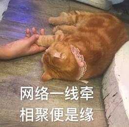 今天给大家带来一个夜夜当新娘的手游——《我的百亿个老公》