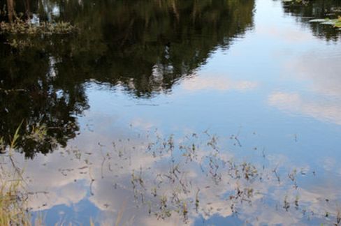 鲶鱼用什么最好钓,大鲶鱼用什么钓最好
