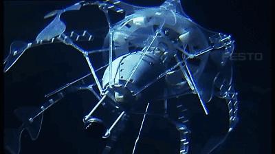 festo仿生展,festo新产品