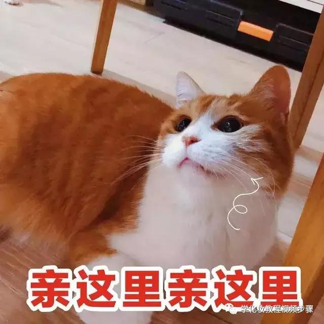 黄黑皮适合什么大牌色号口红,最新的口红夏天用什么牌子