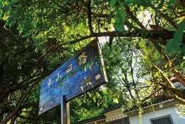 重庆网红景点旅游攻略一日游路线,重庆主城区一日游必去十大网红地