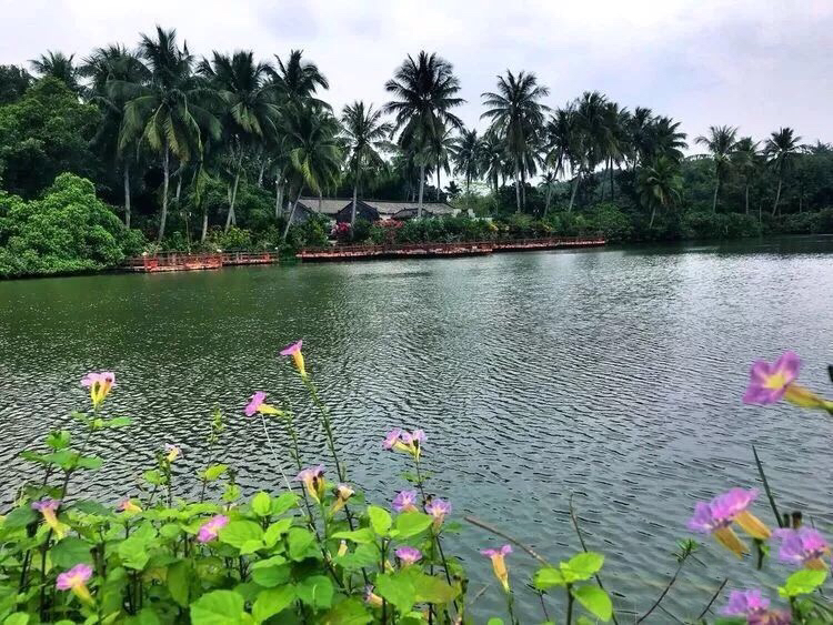 福地琼山,海口琼山福地