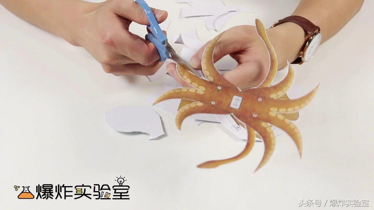 一年级小章鱼折纸,折纸会变脸的小章鱼
