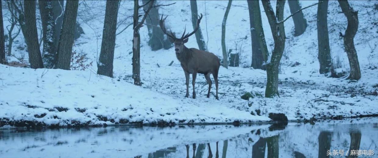 爱情片那些无法超越的经典镜头,什么爱情片最让人看得难受