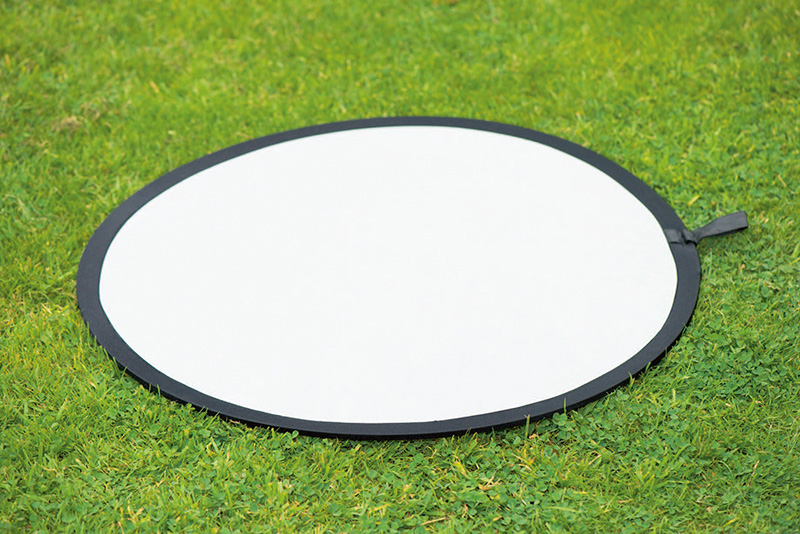 探访岭南花卉市场,花卉王国荷兰郁金香田