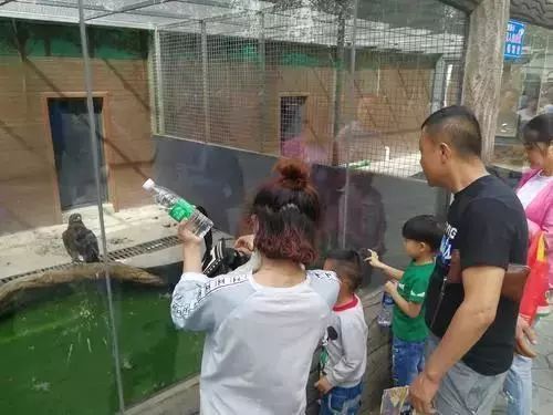 包头室内动物园还开吗,包头动物园介绍