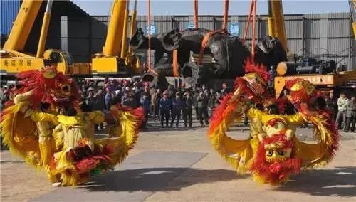 从菜鸟到巅峰,从菜鸟到老司机的过程