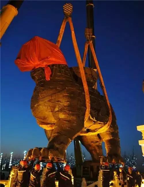 从菜鸟到巅峰,从菜鸟到老司机的过程