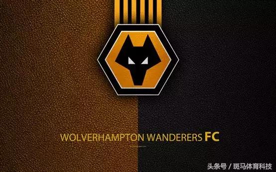 世界杯在激烈的争夺中落下帷幕,世界杯正在进行