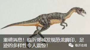 临沂往届毕业生创业政策,临沂大学生回乡创业补贴