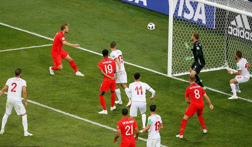 世界杯中的人生哲学,世界杯中的哲学