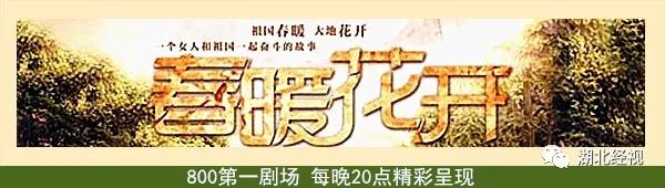 武汉最美林荫道,武汉最美林荫道排名