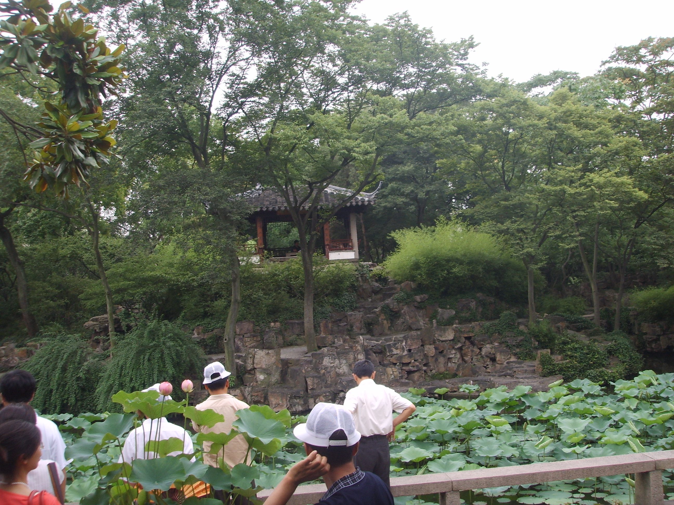 苏州园林的精品拙政园,苏州园林的拙政园故事