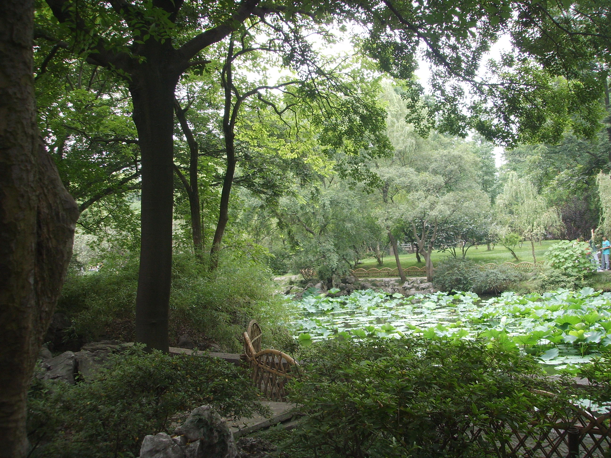 苏州园林的精品拙政园,苏州园林的拙政园故事