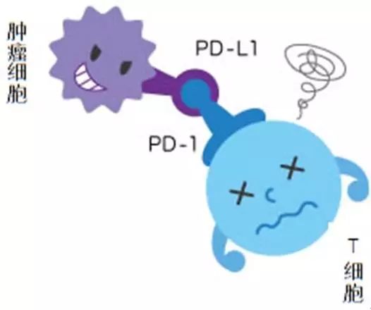 pd1有没有让癌症消失,打pd1后肿瘤缓解