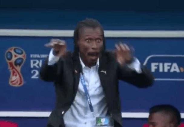 世界杯火爆全网的帅气教练,世界杯主教练颜值