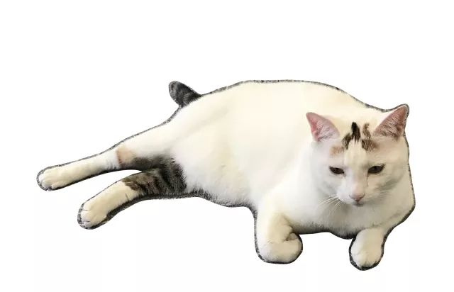 百草枯为什么医生要抢救,急诊科医生百草枯喝了就没救了吗