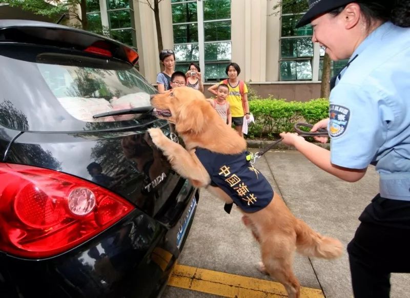 拱北海关缉毒犬,缉毒犬拱北海关