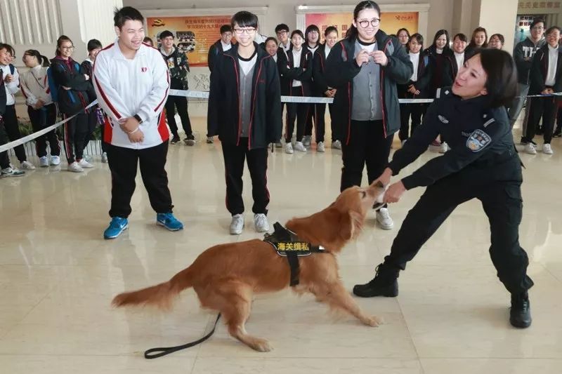 拱北海关缉毒犬,缉毒犬拱北海关