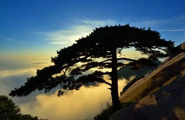 鹰潭优惠福利,鹰潭福利