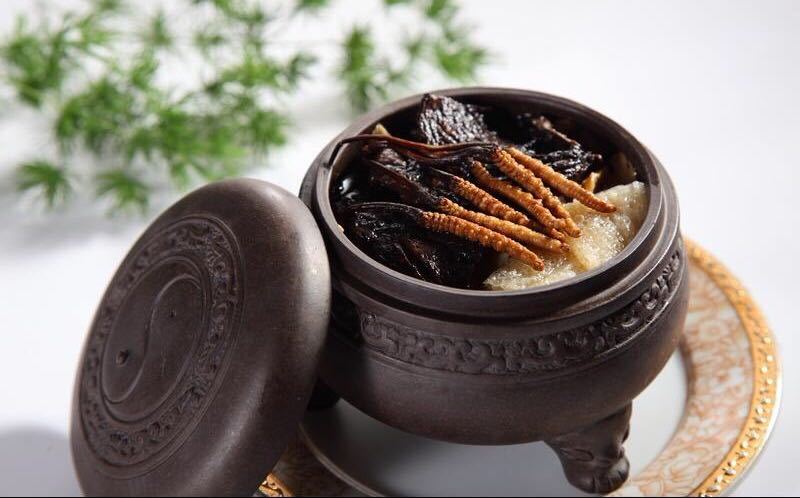 冬虫夏草美容功效作用,冬虫夏草补益气血