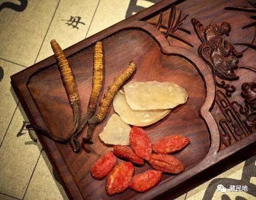冬虫夏草美容功效作用,冬虫夏草补益气血
