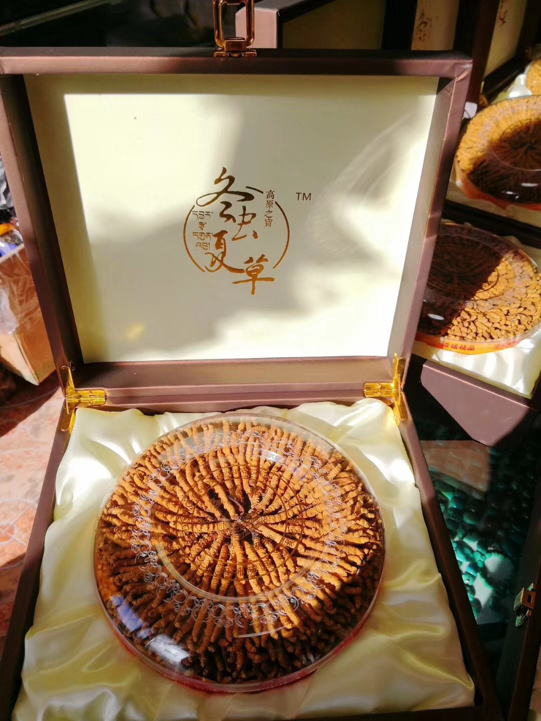 冬虫夏草美容功效作用,冬虫夏草补益气血