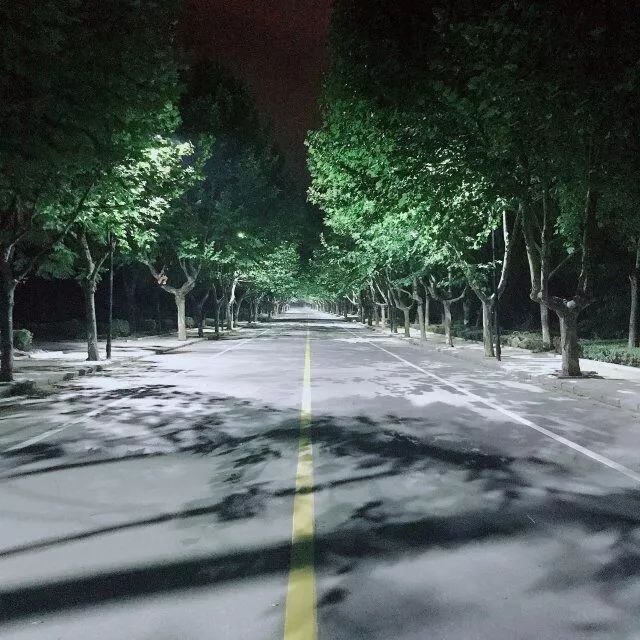 龙王山脚下,南信大去爬龙王山