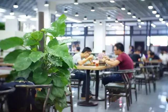 龙王山脚下,南信大去爬龙王山