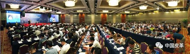 轻工百强揭晓鞋革榜上有名——中国轻工业百强企业高峰论坛在京举行