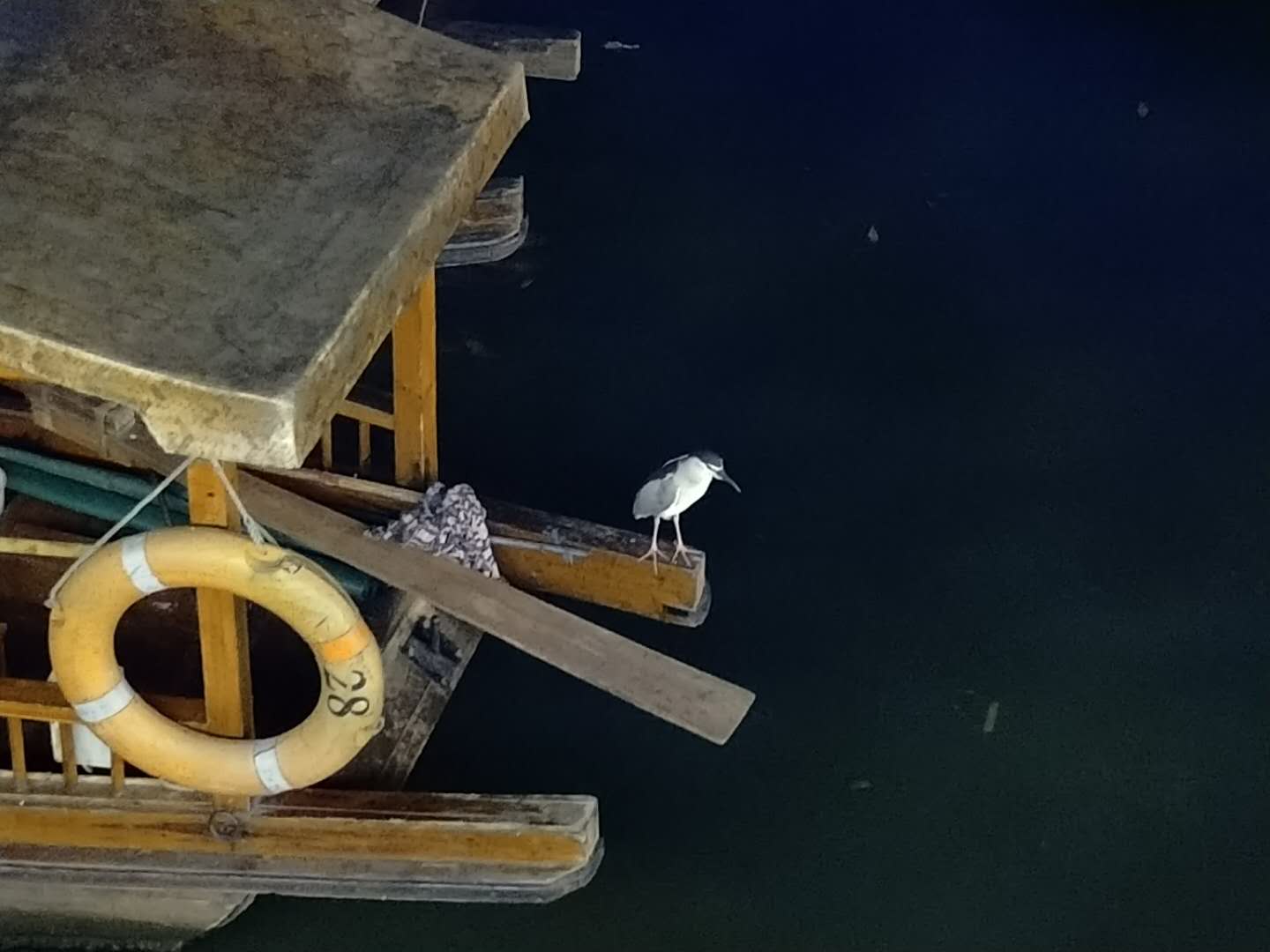 魅族15首发体验图,魅族15系列哪个版本值得买