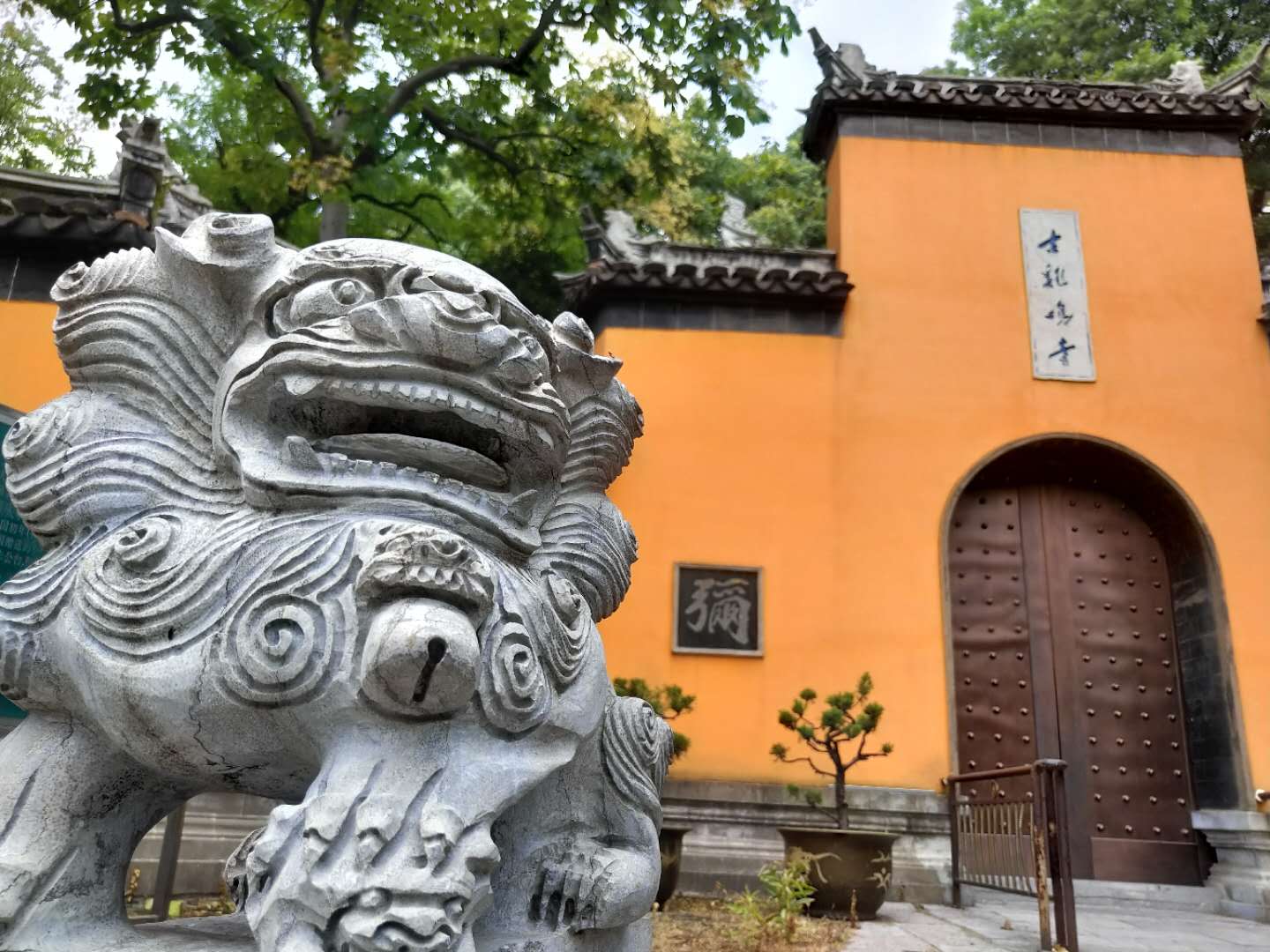 魅族15首发体验图,魅族15系列哪个版本值得买